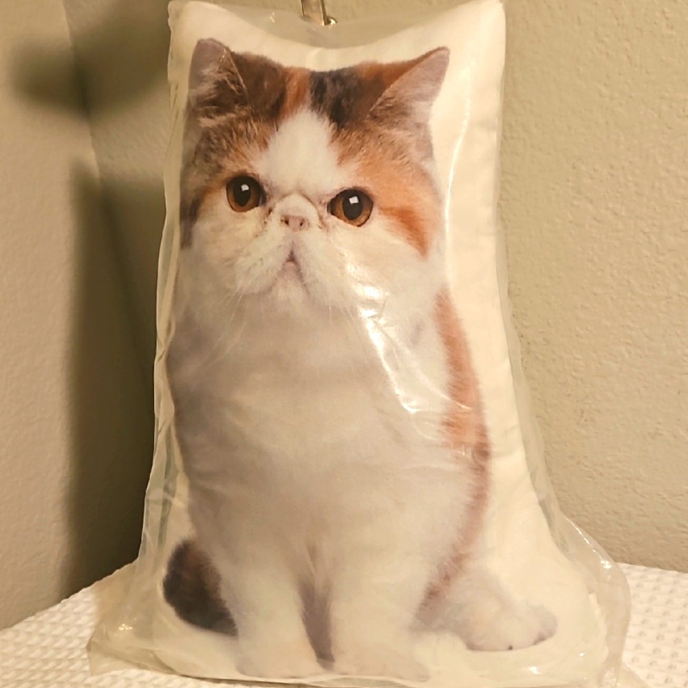 Exotic Shorthair Cat Pillow